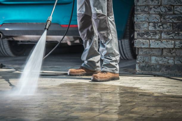Best Sign and Awning Cleaning  in Vamo, FL