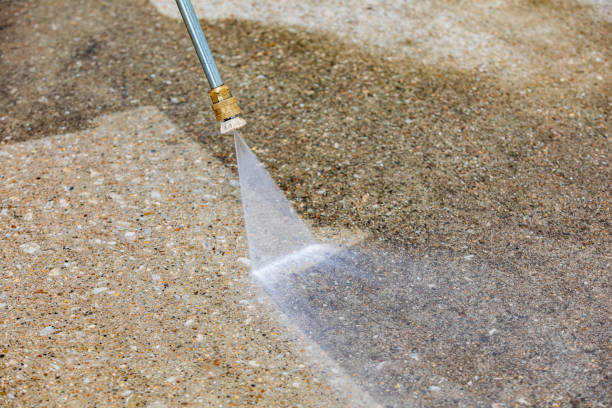 Best Pre-Holiday Cleaning  in Vamo, FL