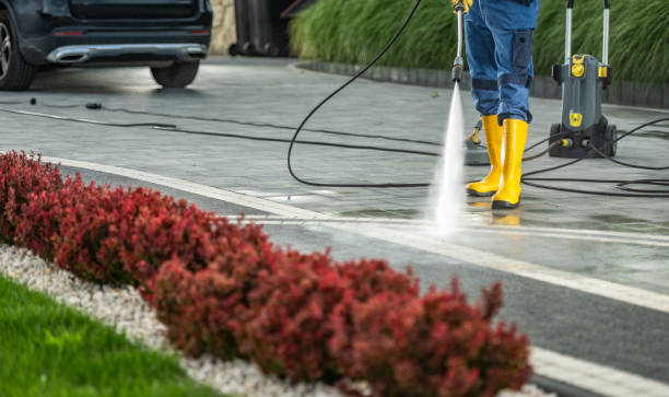 Best Driveway Pressure Washing  in Vamo, FL