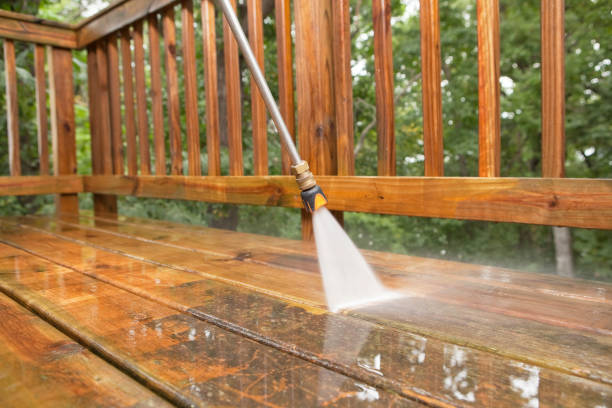 Best Gutter Cleaning  in Vamo, FL