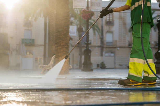 Best Driveway Pressure Washing  in Vamo, FL